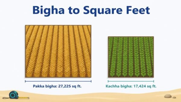 Bigha to Square Feet: Pakka and Kachha Bigha (Rajasthan)